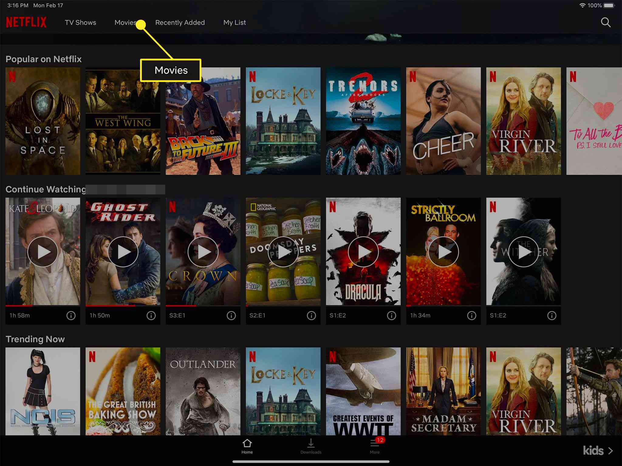 Download Netflix Films On Mac builderrenew